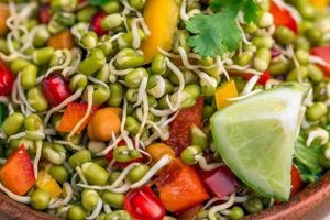 Best Sprout Salad Recipes: Easy & Healthy | Quick Salad Recipes for Healthy Salad Ideas to Boost Your Nutrition