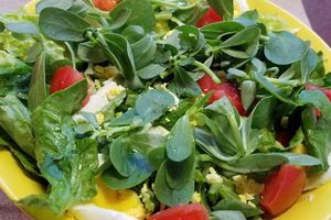 Purslane Recipes Salad | Quick Salad Recipes for Healthy Salad Ideas to Boost Your Nutrition