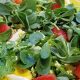 Purslane Recipes Salad | Quick Salad Recipes for Healthy Salad Ideas to Boost Your Nutrition