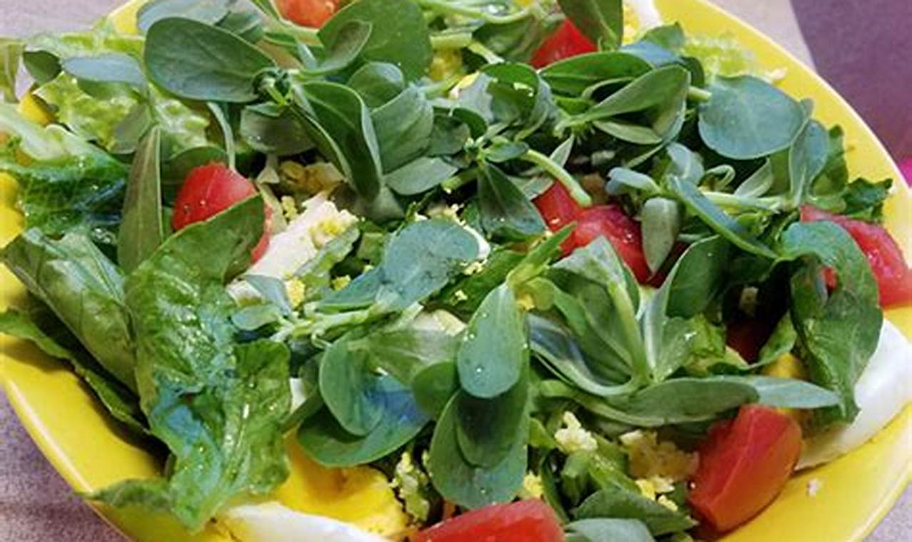 Purslane Recipes Salad | Quick Salad Recipes for Healthy Salad Ideas to Boost Your Nutrition