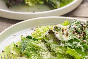 Best Romaine Lettuce Salad Recipe Ever Quick Salad Recipes for Healthy Salad Ideas to Boost Your Nutrition Best Romaine Lettuce Salad Recipe Ever | Quick Salad Recipes for Healthy Salad Ideas to Boost Your Nutrition