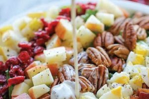 Fall Salad Recipe Ideas | Quick Salad Recipes for Healthy Salad Ideas to Boost Your Nutrition