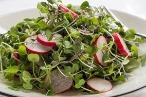 Best Microgreens Salad Recipe: Easy & Healthy Quick Salad Recipes for Healthy Salad Ideas to Boost Your Nutrition Best Microgreens Salad Recipe: Easy & Healthy | Quick Salad Recipes for Healthy Salad Ideas to Boost Your Nutrition