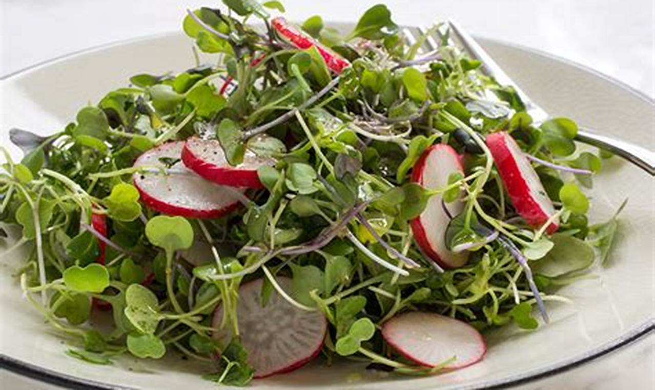 Best Microgreens Salad Recipe: Easy & Healthy Quick Salad Recipes for Healthy Salad Ideas to Boost Your Nutrition Best Microgreens Salad Recipe: Easy & Healthy | Quick Salad Recipes for Healthy Salad Ideas to Boost Your Nutrition
