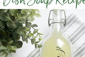 DIY Sal Suds Dish Soap Recipe & Guide | Quick Salad Recipes for Healthy Salad Ideas to Boost Your Nutrition