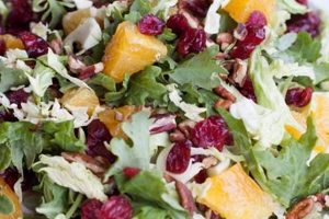 Best Cranberry Orange Salad Recipe (Easy & Festive) Quick Salad Recipes for Healthy Salad Ideas to Boost Your Nutrition Best Cranberry Orange Salad Recipe (Easy & Festive) | Quick Salad Recipes for Healthy Salad Ideas to Boost Your Nutrition